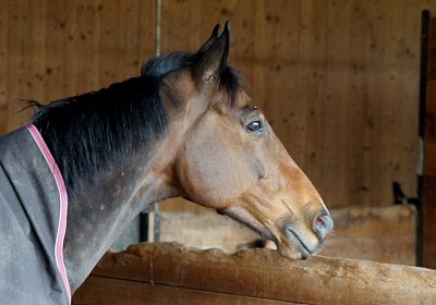 2018 03 31 Hecto Besuch DSC07360