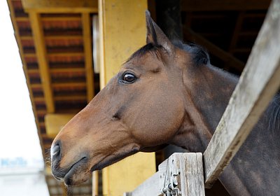 2018 03 31 Hecto Besuch DSC07422