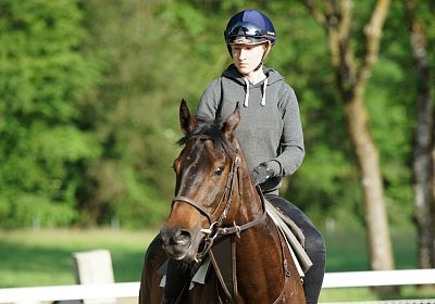 Dasty DSC09885