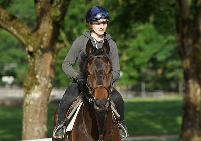 Dasty DSC09897