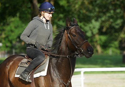 Dasty DSC09899