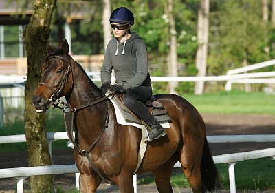 Dasty DSC09900