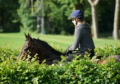 Dasty DSC09909