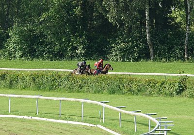 Dasty DSC09926