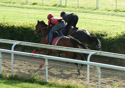 Dasty DSC09941