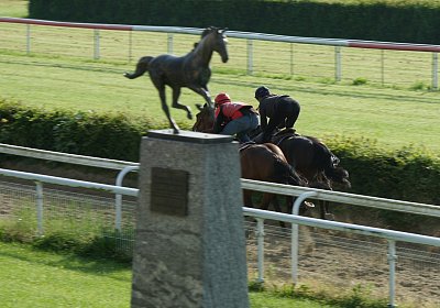 Dasty DSC09942
