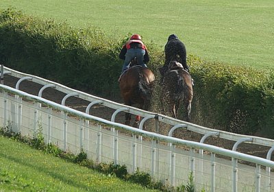 Dasty DSC09947