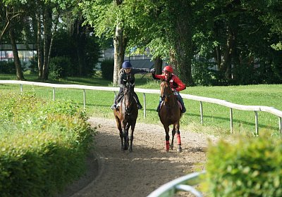 Dasty DSC09967