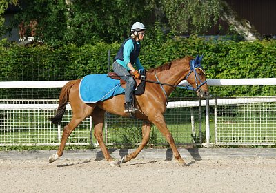 Gitan DSC00018