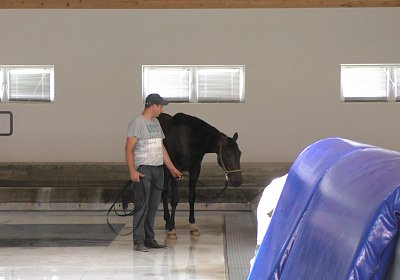 Deniro S3110001 Einschwimmen