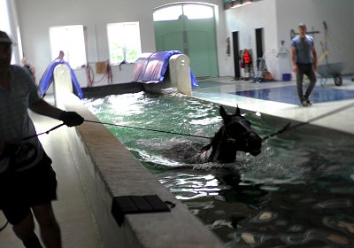 Deniro S3110013 Einschwimmen