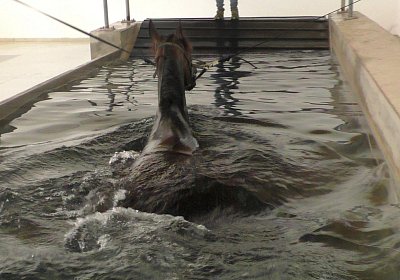 Deniro S3110014 Einschwimmen