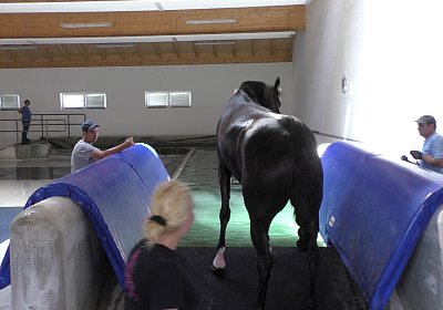 Deniro S3110024 Einschwimmen