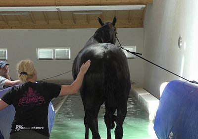 Deniro S3110028 Einschwimmen