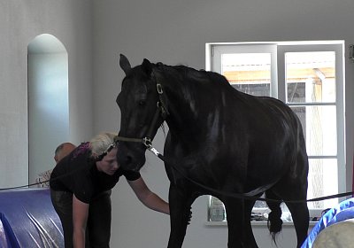 Deniro S3110053 Einschwimmen