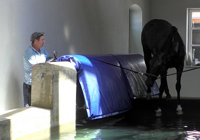 Deniro S3110065 Einschwimmen