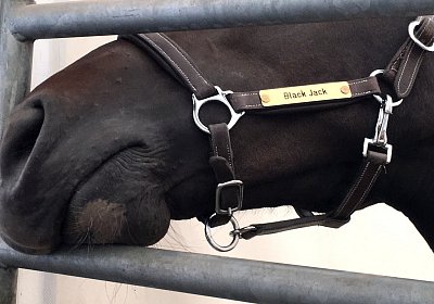 Black Berlin IMG 3943 05 08 2018