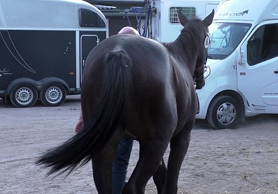 Black Berlin J S3220008 05 08 2018