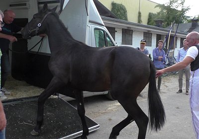 Black Berlin K S3220016 05 08 2018