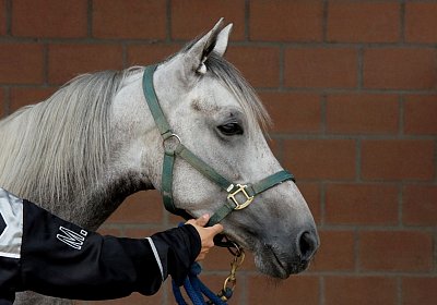 Vento Training Duschen DSC03512 2018 August