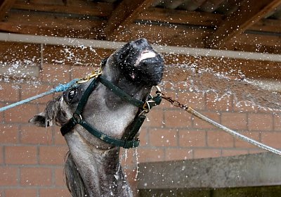 Vento Training Duschen DSC03522 2018 August