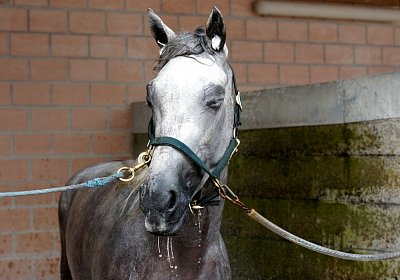 Vento Training Duschen DSC03533 2018 August