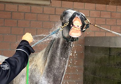 Vento Training Duschen DSC03543b 2018 August