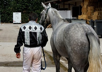 Vento Training Duschen DSC03548 2018 August