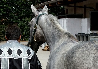 Vento Training Duschen DSC03549 2018 August