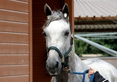 Vento Training Duschen DSC03552 2018 August