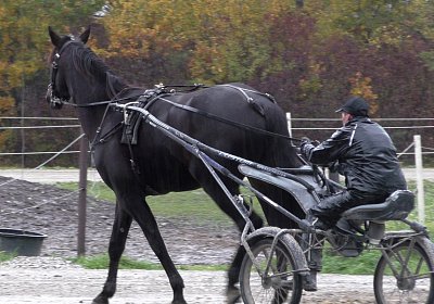 Jack S3340038