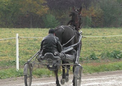 Jack S3340039