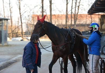 2019 02 27 DSC08555 Semola