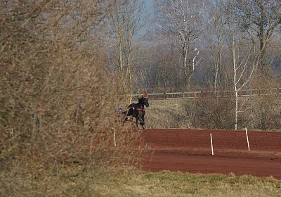 2019 02 27 DSC08707 Light