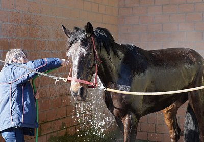 2019 02 27 DSC08812