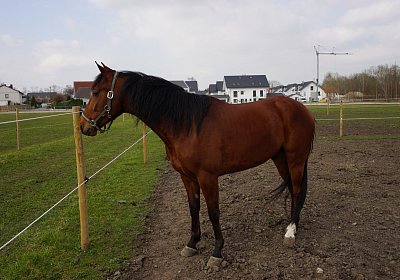 2019 03 25Aschheim Fernando DSC09763