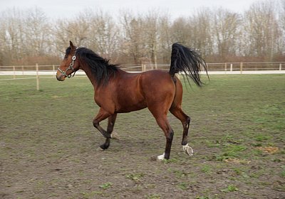 2019 03 25Aschheim Fernando DSC09769