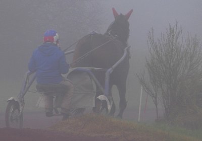 Avenches 19Dez19 A S4000002 Fiddle
