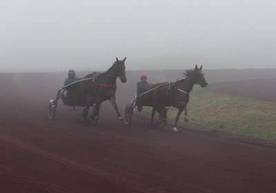 Avenches 19Dez19 B S4000010 Fiddle Elk