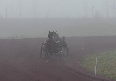 Avenches 19Dez19 E S4000027 Fernando Sonny