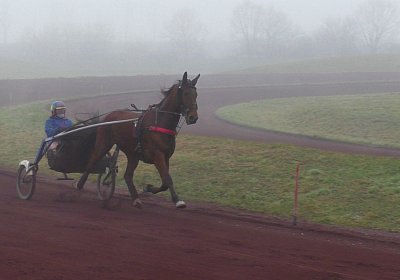 Avenches 19Dez19 E S4000028 Fernando