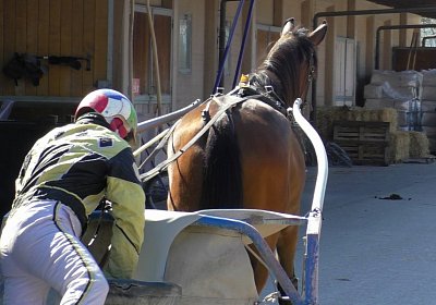 Avenches Training 01 04 2020 B S4150015 Fiddle