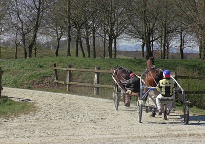 Avenches Training 01 04 2020 B S4150019 Globi Fiddle