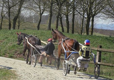 Avenches Training 01 04 2020 B S4150020 Globi Fiddle