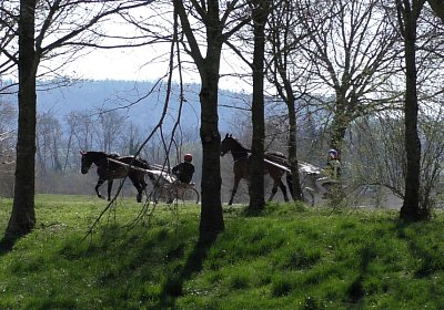 Avenches Training 01 04 2020 B S4150024 Globi Fiddle