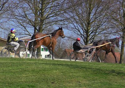 Avenches Training 01 04 2020 B S4150030 Globi Fiddle