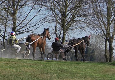 Avenches Training 01 04 2020 B S4150031 Globi Fiddle