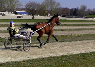 Avenches Training 01 04 2020 C S4150043 Fiddle