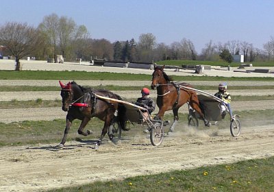 Avenches Training 01 04 2020 C S4150044 Globi Fiddle
