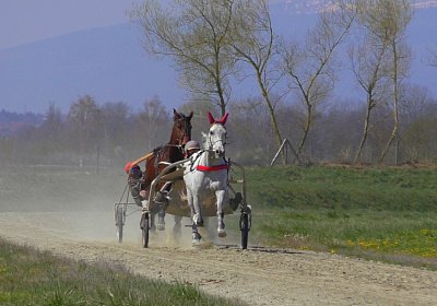 Avenches Training 01 04 2020 F S4150092 Vento Chevy